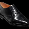 Albert - Black Hi-Shine